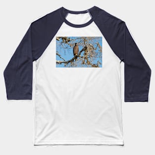 Crested Serpent eagle sitting on tree, looking at camera, Sri Lanka Baseball T-Shirt
